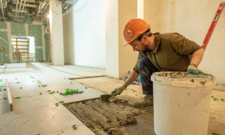L’habitat de demain : Entre enjeux écologiques et réalités du marché immobilier français
